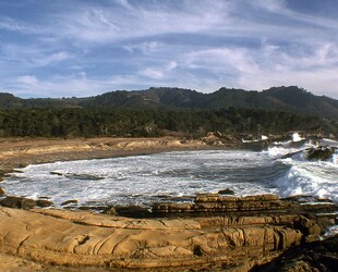 CARMEL RIVER STATE BEACH