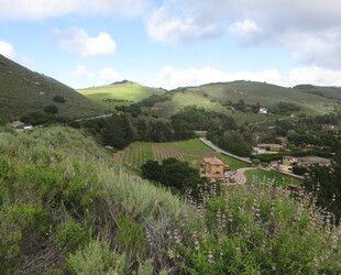 CARMEL VALLEY VILLAGE