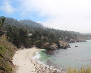 POINT LOBOS STATE NATURAL RESERVE