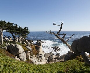 SCENIC 17-MILE DRIVE