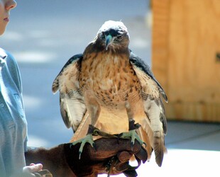 SACRAMENTO ZOO