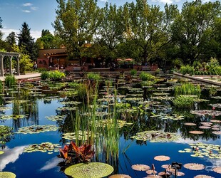 DENVER BOTANIC GARDENS