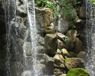 ANDERSON JAPANESE GARDENS