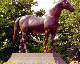 KENTUCKY HORSE PARK