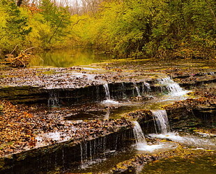 RAVEN RUN NATURE SANCTUARY