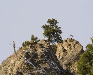 BOZEMAN HOT SPRINGS