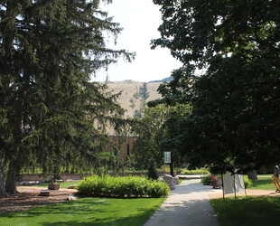 UNIVERSITY OF MONTANA