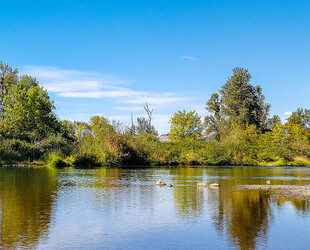 MOUNT PISGAH ARBORETUM