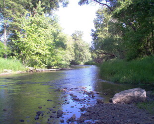 BEAR CREEK PARK