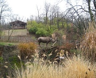 PITTSBURGH ZOO & PPG AQUARIUM