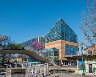 TENNESSEE AQUARIUM