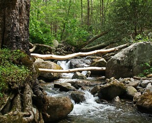 GATLINBURG