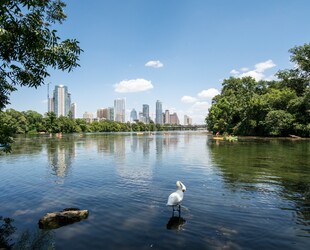 LADY BIRD LAKE