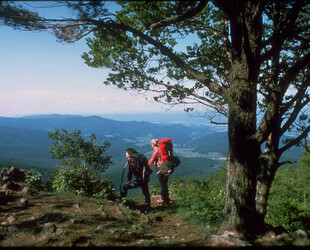 SHENANDOAH NATIONAL PARK