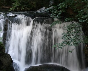 WHATCOM FALLS PARK