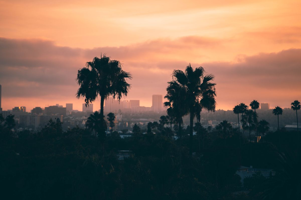 Palm trees silhouetted against a Los Angeles sunset